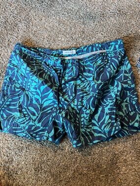 The Rail Tropical Swim Trunks